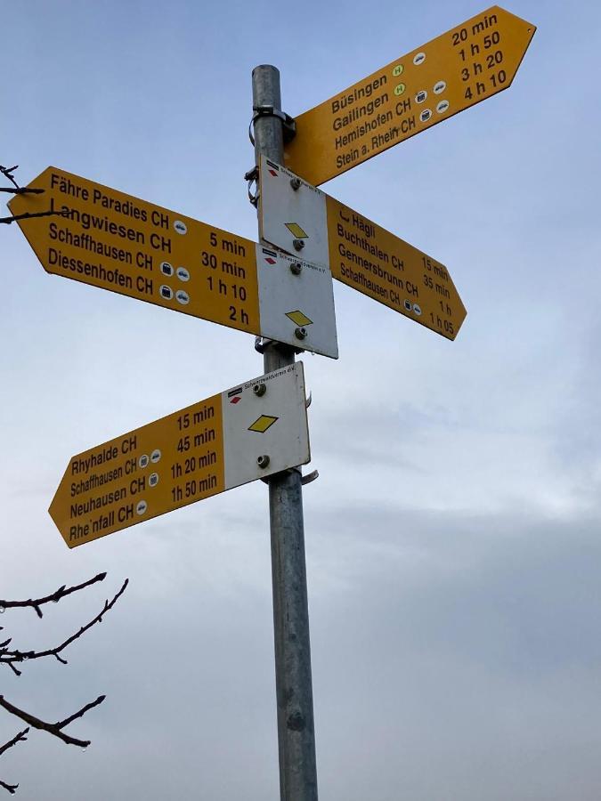 Buesingen Am Hochrhein Radfahren, Wandern, Natur Geniessen Daire Dış mekan fotoğraf