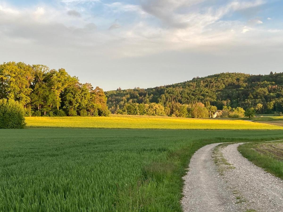 Buesingen Am Hochrhein Radfahren, Wandern, Natur Geniessen Daire Dış mekan fotoğraf