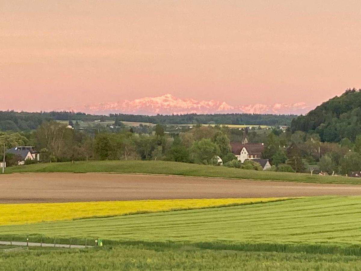 Buesingen Am Hochrhein Radfahren, Wandern, Natur Geniessen Daire Dış mekan fotoğraf