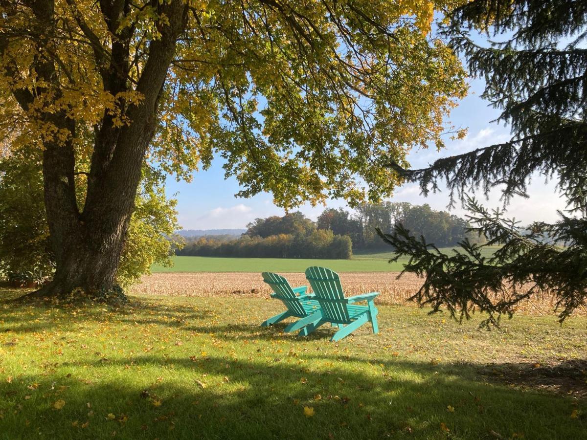 Buesingen Am Hochrhein Radfahren, Wandern, Natur Geniessen Daire Dış mekan fotoğraf